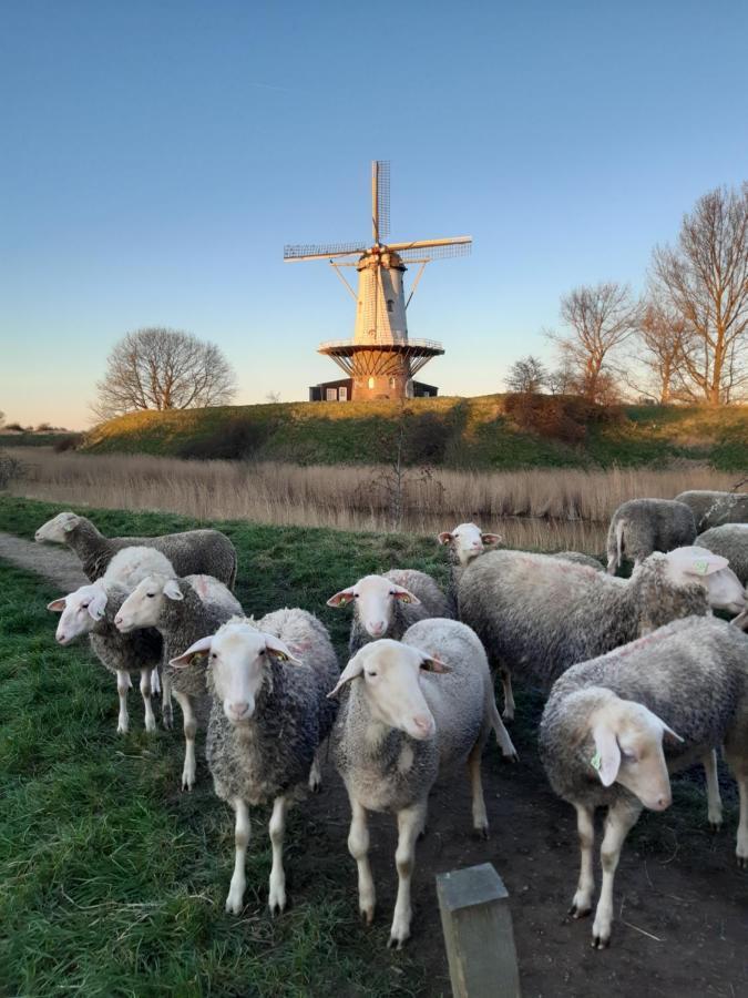 Studio Bourbon Veere Eksteriør billede