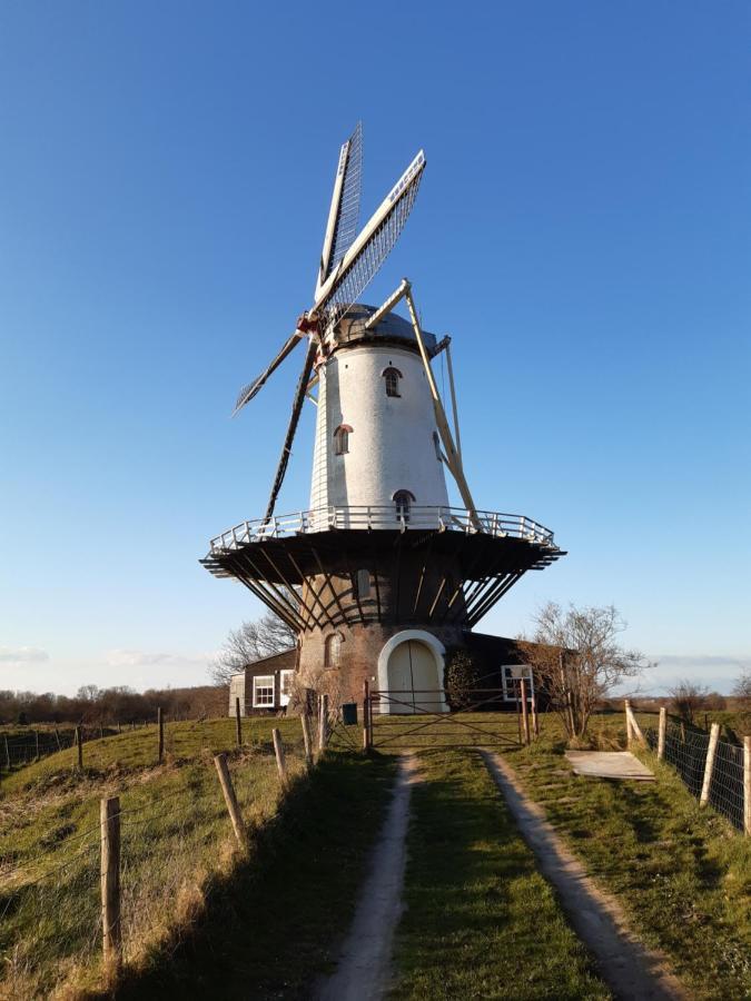 Studio Bourbon Veere Eksteriør billede